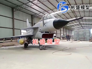 濟南軍事飛機模型